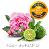 Startpack Lössnus Blend No.1 Original 10 dosor