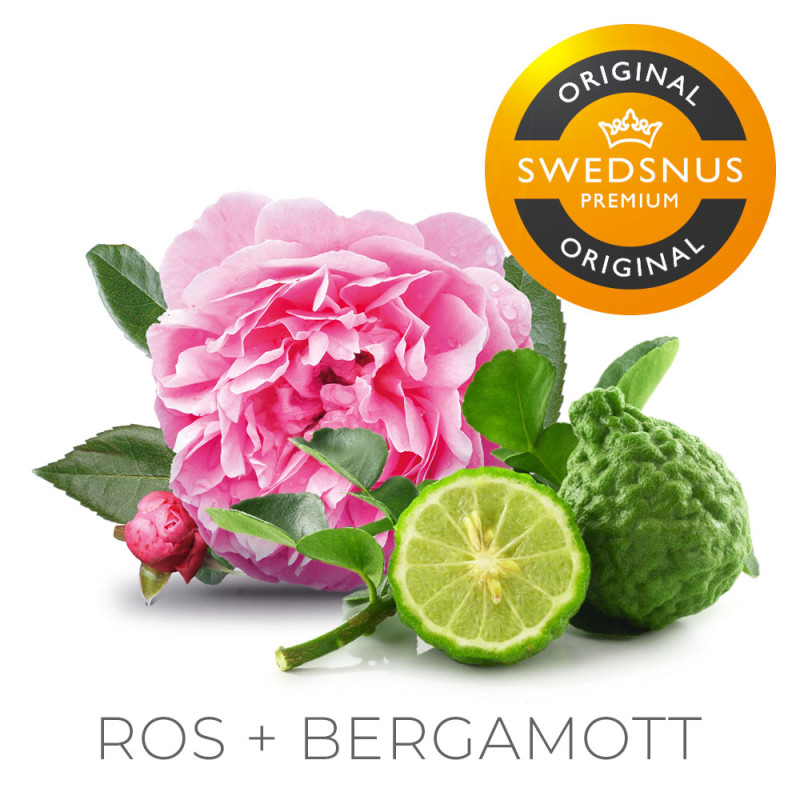 Startpack Lössnus Blend No.1 Original 10 dosor